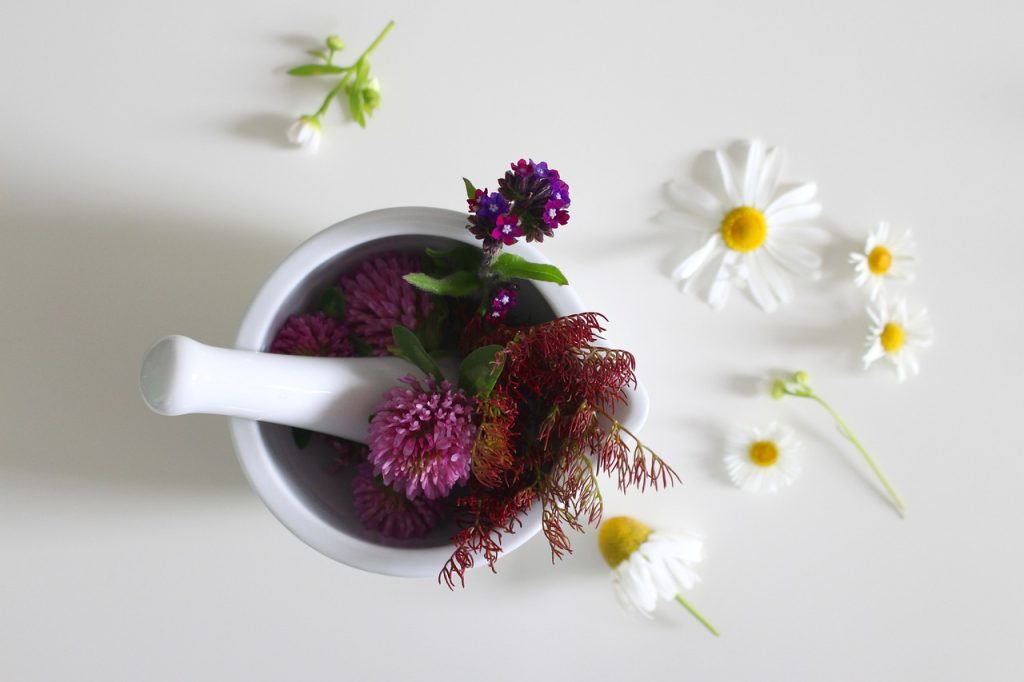 medicinal flower, remedies, ointment-4246073.jpg